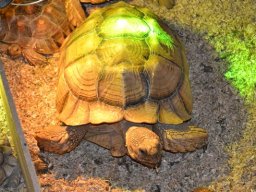 Sortida França 12/05/2013