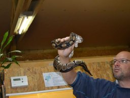 Sortida França 12/05/2013