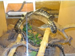 Sortida França 12/05/2013