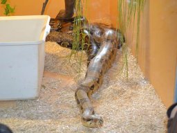 Sortida França 12/05/2013