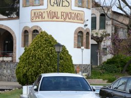 Sortida Riudoms 2016