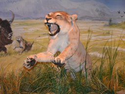 Viatge a la Prehistoria 11/05/2014